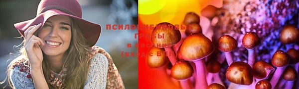 хмурый Алексин