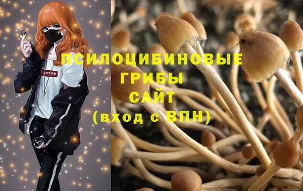 хмурый Алексин