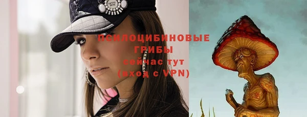 хмурый Алексин