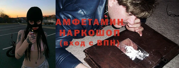 хмурый Алексин