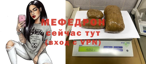 МДПВ Пересвет