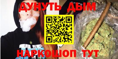 стаф Донецк
