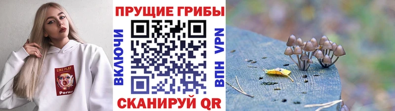 Галлюциногенные грибы Magic Shrooms  как найти   Миасс 