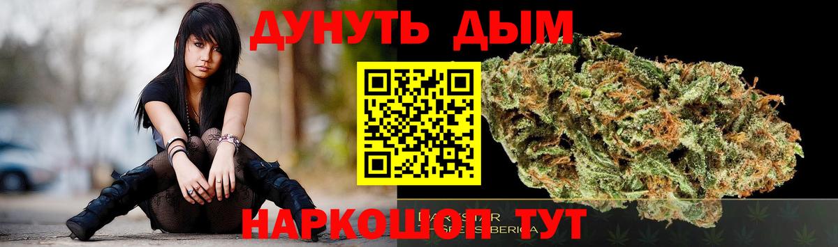 Конопля сатива Миасс